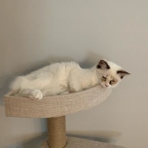 Meet your Posher, Kathy